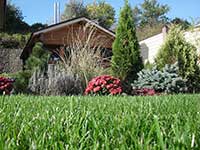 Ландшафтный дизайн