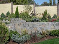 Ландшафтный дизайн